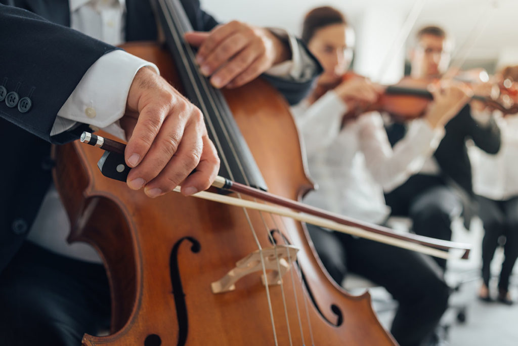 cello players hands close up DXK9LMW